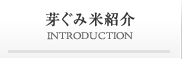 芽ぐみ米紹介